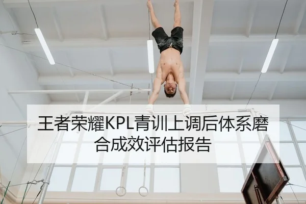 王者荣耀KPL青训上调后体系磨合成效评估报告